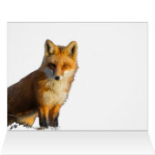 かわいい小キツネ (内部横(上))