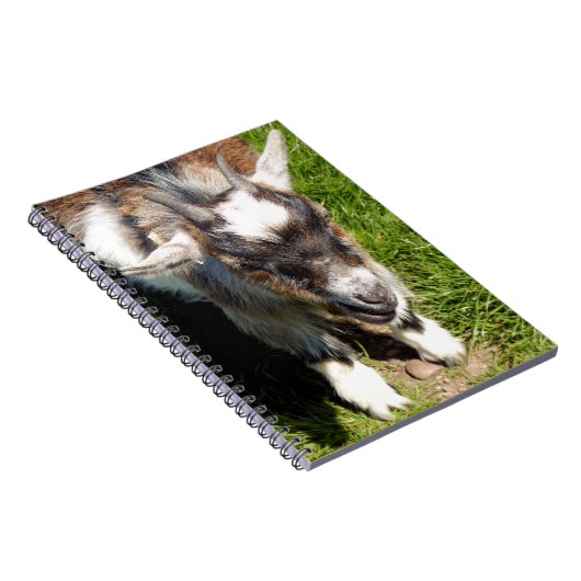 かわいい小ヤギ ノートブック (右側)