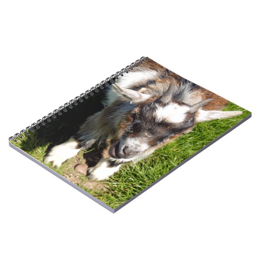 かわいい小ヤギ ノートブック (左側)