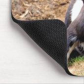 かわいい小ヤギ マウスパッド (コーナー)