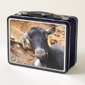 かわいい小ヤギ メタルランチボックス (裏面)