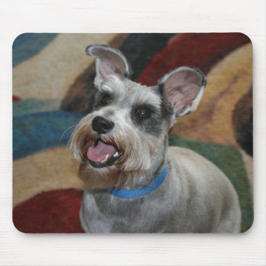 かわいい小型Sxhnauzer マウスパッド (正面)