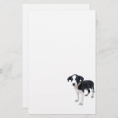 かわいい小犬の文房具 便箋 (正面/裏面)