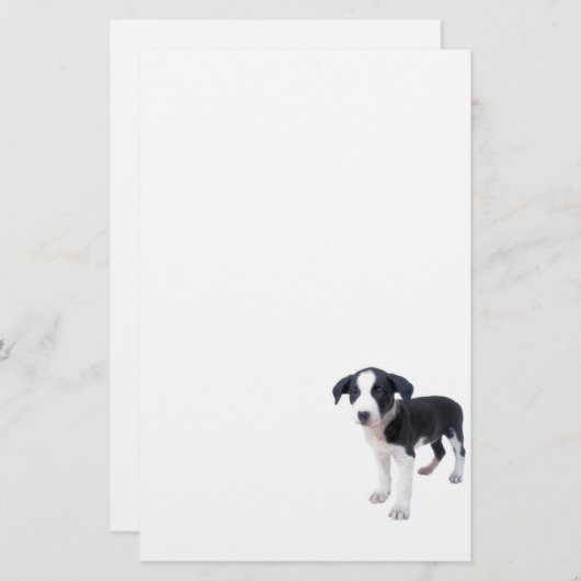 かわいい小犬の文房具 便箋 (正面/裏面)