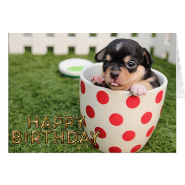 かわいい小犬 (正面横)