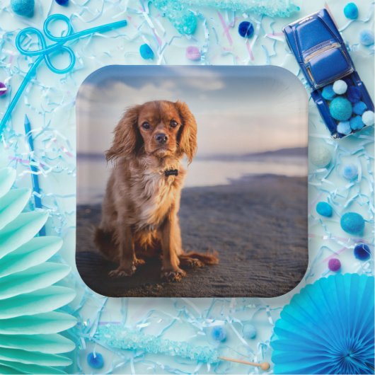 かわいい小犬 ペーパープレート (パーティー)