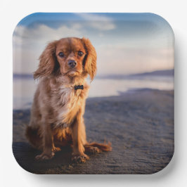 かわいい小犬 ペーパープレート