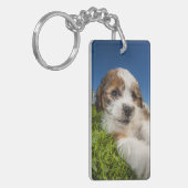 かわいい小犬(Shitzu) キーホルダー (正面左)