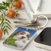 かわいい小犬(Shitzu) キーホルダー (正面右)