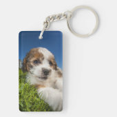 かわいい小犬(Shitzu) キーホルダー (裏面)