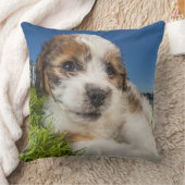 かわいい小犬(Shitzu) クッション (ブランケット)