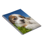 かわいい小犬(Shitzu) ノートブック (右側)