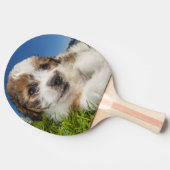 かわいい小犬(Shitzu) 卓球ラケット (横)