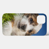 かわいい小犬(Shitzu) Case-Mate iPhoneケース (裏面 (横))