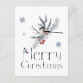 かわいい小鳥が松の枝に止まっている ポストカード (正面)