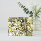 かわいい小鳥ハッピーイースターはがき ポストカード (スタンド正面)