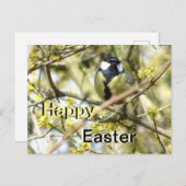 かわいい小鳥ハッピーイースターはがき ポストカード (正面/裏面)