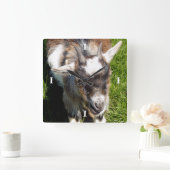 かわいい山羊 スクエア壁時計 (ホーム)