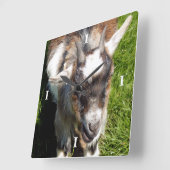 かわいい山羊 スクエア壁時計 (傾斜)