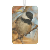 かわいい希望のブラックキャップ《鳥》アメリカゴガラソンバード カーエアーフレッシュナー (裏面)