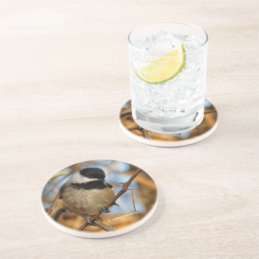 かわいい希望のブラックキャップ《鳥》アメリカゴガラソンバード コースター (側面)