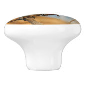 かわいい希望のブラックキャップ《鳥》アメリカゴガラソンバード セラミックノブ (側面)