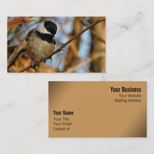 かわいい希望のブラックキャップ《鳥》アメリカゴガラソンバード 名刺 (正面/裏面)