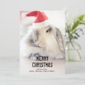 かわいい帽子が付いているクリスマスのバニー シーズンカード (スタンド正面)