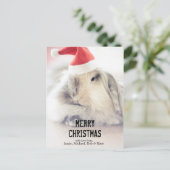 かわいい帽子が付いているクリスマスのバニー シーズンポストカード (スタンド正面)