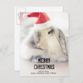 かわいい帽子が付いているクリスマスのバニー シーズンポストカード (正面/裏面)