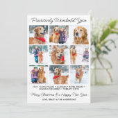 かわいい年の犬のペットの写真コラージュ シーズンカード (スタンド正面)