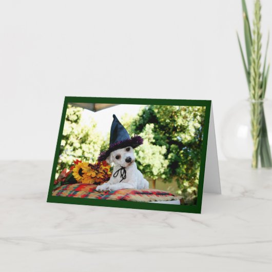 かわいい幸せな感謝祭の犬の挨拶状 シーズンカード (正面)