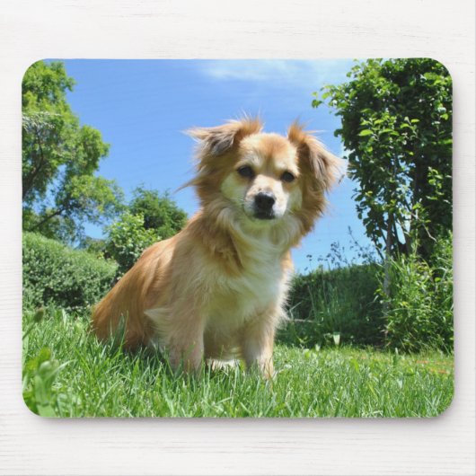 かわいい庭の子犬 マウスパッド (正面)