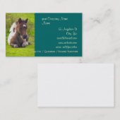 かわいい当歳の子馬の名刺 名刺 (正面/裏面)