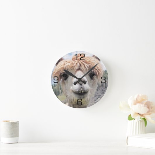 かわいい微笑のアルパカの写真のイメージ ラウンド壁時計 (ホーム)