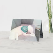 かわいい怠け犬の面白いセントパトリックデーの写真 カード (裏面)