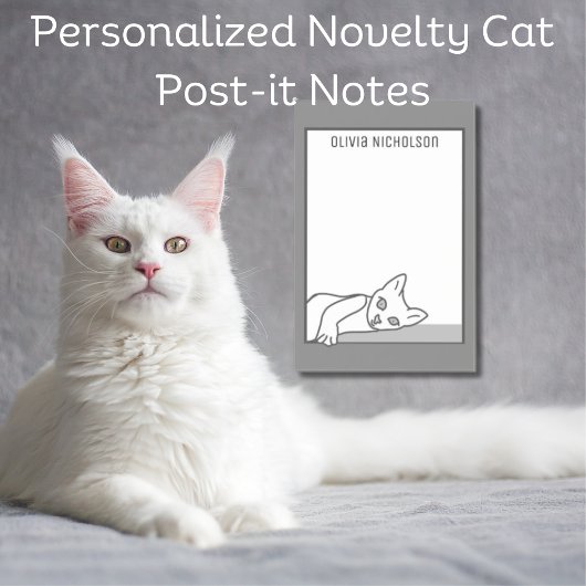 かわいい怠け猫アート オーダーメイド ネコのメモ帳 - スザンヌ ハインによるオリジナルの手描きイラ ポストイット