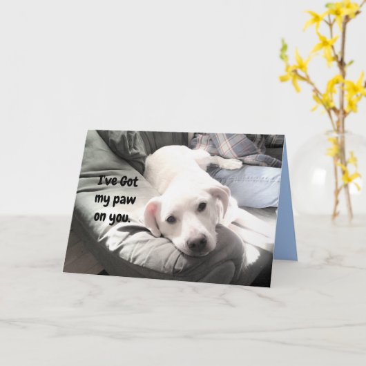 かわいい怠け者の白い犬のぶら下がったパパ カード (黄色い花)