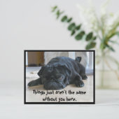 かわいい怠け者の黒パグ子犬のポストカード ポストカード (スタンド正面)