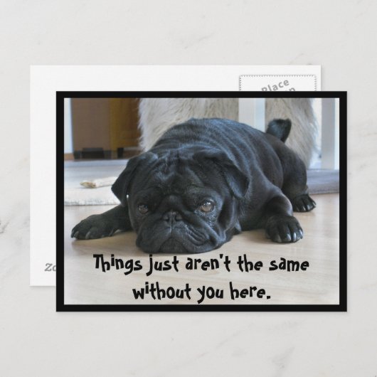 かわいい怠け者の黒パグ子犬のポストカード ポストカード (正面/裏面)