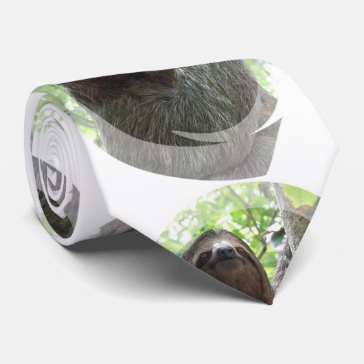 かわいい怠惰 ネクタイ (ロール)