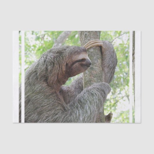 かわいい怠惰 薄葉紙 (正面)