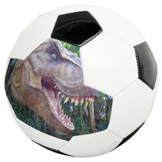 かわいい恐竜のサッカーボール サッカーボール (3/4)