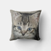 かわいい愛される子猫猫好き クッション (裏面)