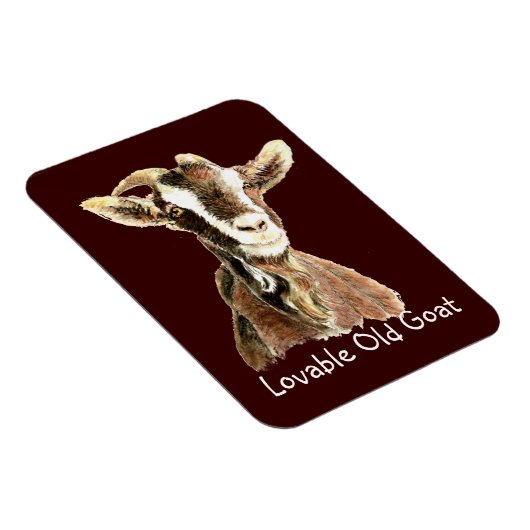 かわいい愛される老ヤギ農場動物ユーモア マグネット (右側)