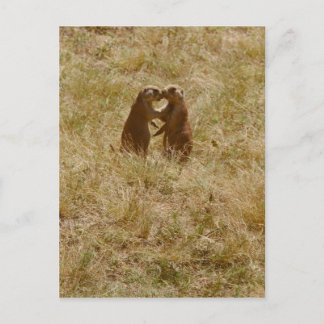 かわいい愛犬はがき ポストカード