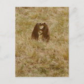 かわいい愛犬はがき ポストカード (正面)