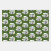 かわいい愛犬家パーソナライズされたの写真パターン ラッピングペーパーシート (正面)