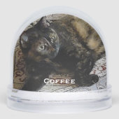 かわいい愛猫と犬、ベビー写真 (正面)