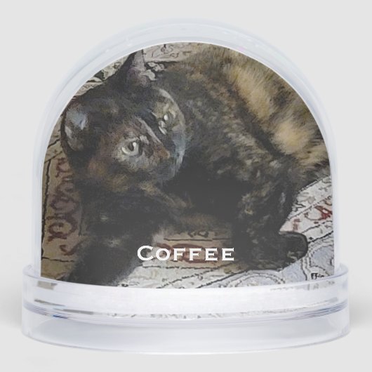 かわいい愛猫と犬、ベビー写真 (正面)